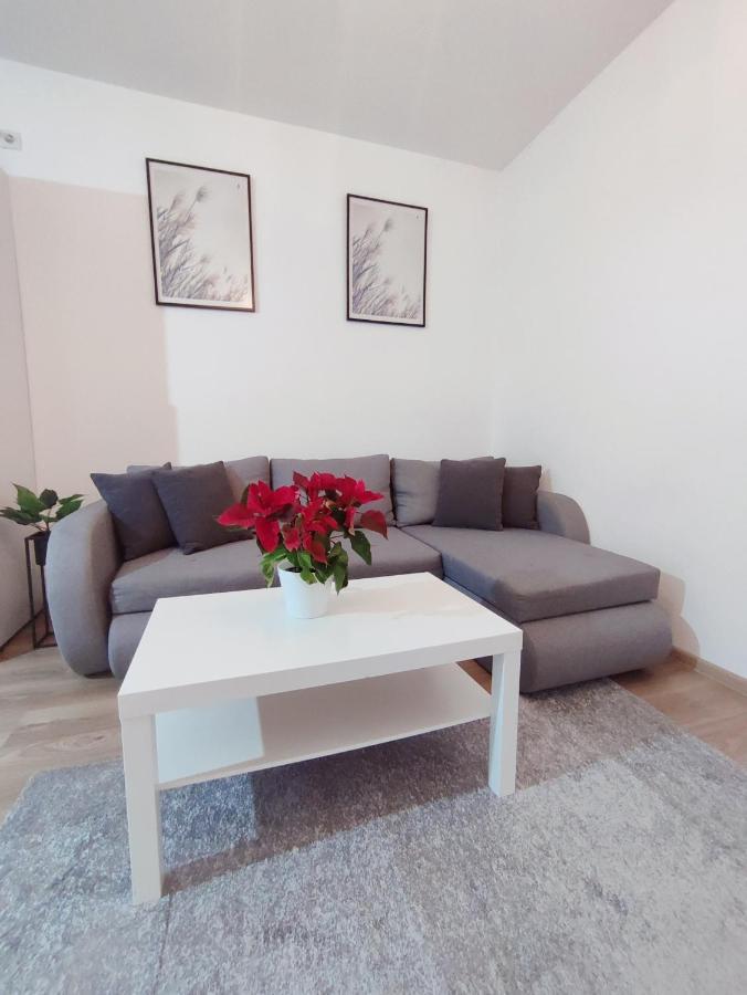 Central Residence Baia Mare Buitenkant foto